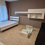 Дава се под наем Двустаен апартамент в София, Младост 1 - 45 кв.м за 500 € - Снимка #1