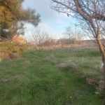 Парцел в Димитровград - 1000 кв.м за 18 €/кв.м - Снимка #1