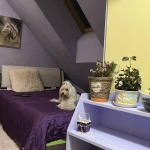 Дава се под наем Двустаен апартамент в София, Слатина - 35 кв.м за 325 € - Снимка #1