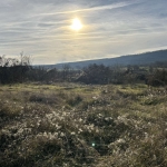 Парцел в к.к. Пампорово - 1400 кв.м за 3 €/кв.м - Снимка #1