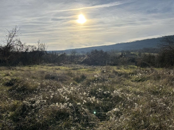 Парцел в к.к. Пампорово - 1400 кв.м за 3 €/кв.м - Снимка #1