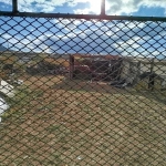 Земеделски имот в Асеновград -  кв.м за 12 €/дка - Снимка #1