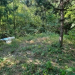 Парцел в с. Бачково, Област Пловдив - 529 кв.м за 18 €/кв.м - Снимка #1