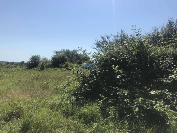 Парцел в с. Приселци, Област Варна - 2491 кв.м за 22 €/кв.м - Снимка #1