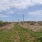 Парцел в с. Топола, Област Добрич - 510 кв.м за 23 €/кв.м - Снимка #1