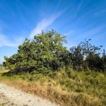 Парцел в с. Аврен, Област Варна - 1050 кв.м за 26 €/кв.м - Снимка #1