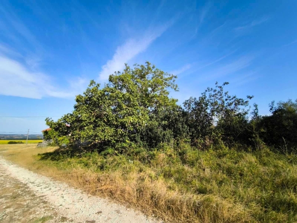 Парцел в с. Аврен, Област Варна - 1050 кв.м за 26 €/кв.м - Снимка #1