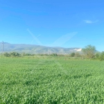 Парцел в Асеновград - 4397 кв.м за 51 €/кв.м - Снимка #1