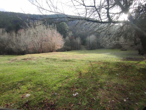 Парцел в Велинград - 7442 кв.м за 132 €/кв.м - Снимка #1