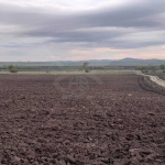 Парцел в Каблешково - 11500 кв.м за 7 €/кв.м - Снимка #1