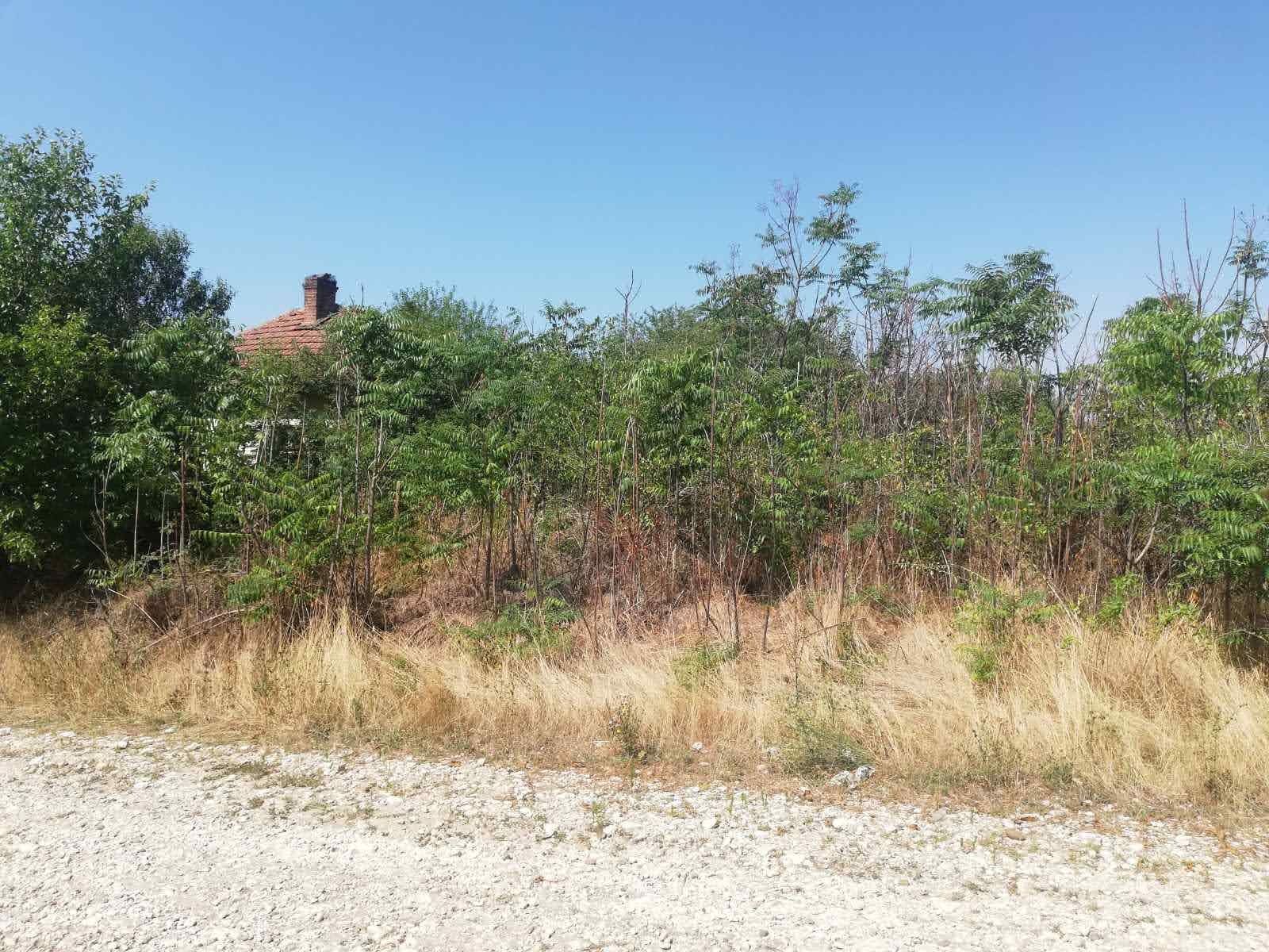 Парцел в с. Бреница, Област Плевен - 2039 кв.м за 3 €/кв.м - Снимка #1