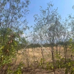 Парцел в с. Златитрап, Област Пловдив - 2000 кв.м за 45 €/кв.м - Снимка #1