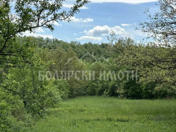 Парцел в с. Балванците, Област Габрово - 5050 кв.м за 10 €/кв.м - Снимка #1