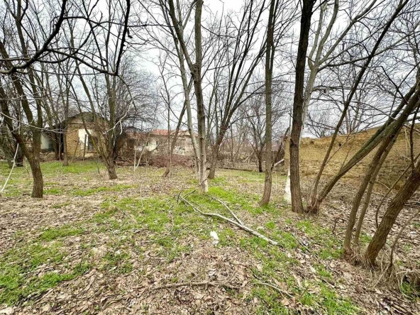 Парцел в Долна Оряховица - 1200 кв.м за 10 €/кв.м - Снимка #1