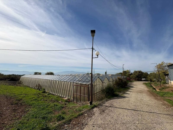 Дава се под наем Земеделски имот в Бухово -  кв.м за 629.34 € - Снимка #1