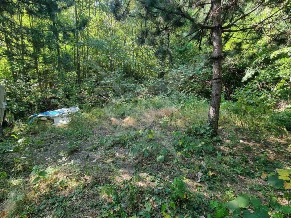 Парцел в с. Бачково, Област Пловдив - 529 кв.м за 18 €/кв.м - Снимка #1