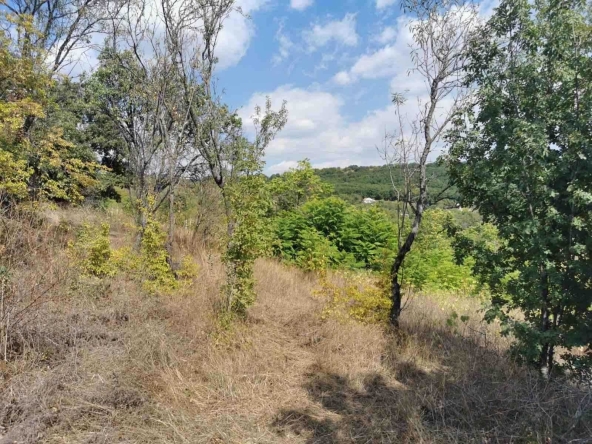 Парцел в с. Слънчево, Област Варна - 584 кв.м за 15 €/кв.м - Снимка #1