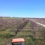 Земеделски имот в Пловдив, Тракия -  кв.м за 4450 €/дка - Снимка #1