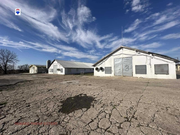 Промишлена сграда в с. Борисово, Област Русе - 108000 кв.м за 93 €/кв.м - Снимка #1