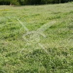 Парцел в Карлово - 644 кв.м за 16 €/кв.м - Снимка #1