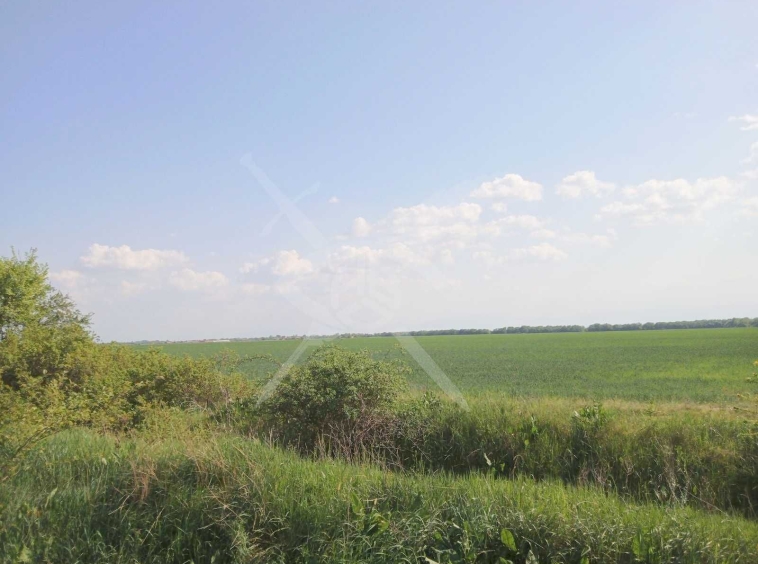 Парцел в с. Момино село, Област Пловдив - 20017 кв.м за 3 €/кв.м - Снимка #1