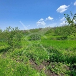 Парцел в с. Драчево, Област Бургас - 27000 кв.м за 3 €/кв.м - Снимка #1