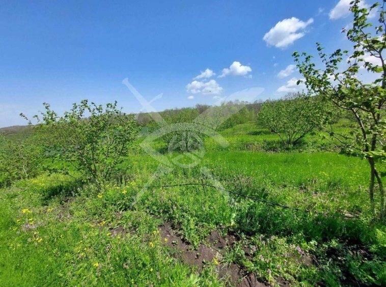 Парцел в с. Драчево, Област Бургас - 27000 кв.м за 3 €/кв.м - Снимка #1