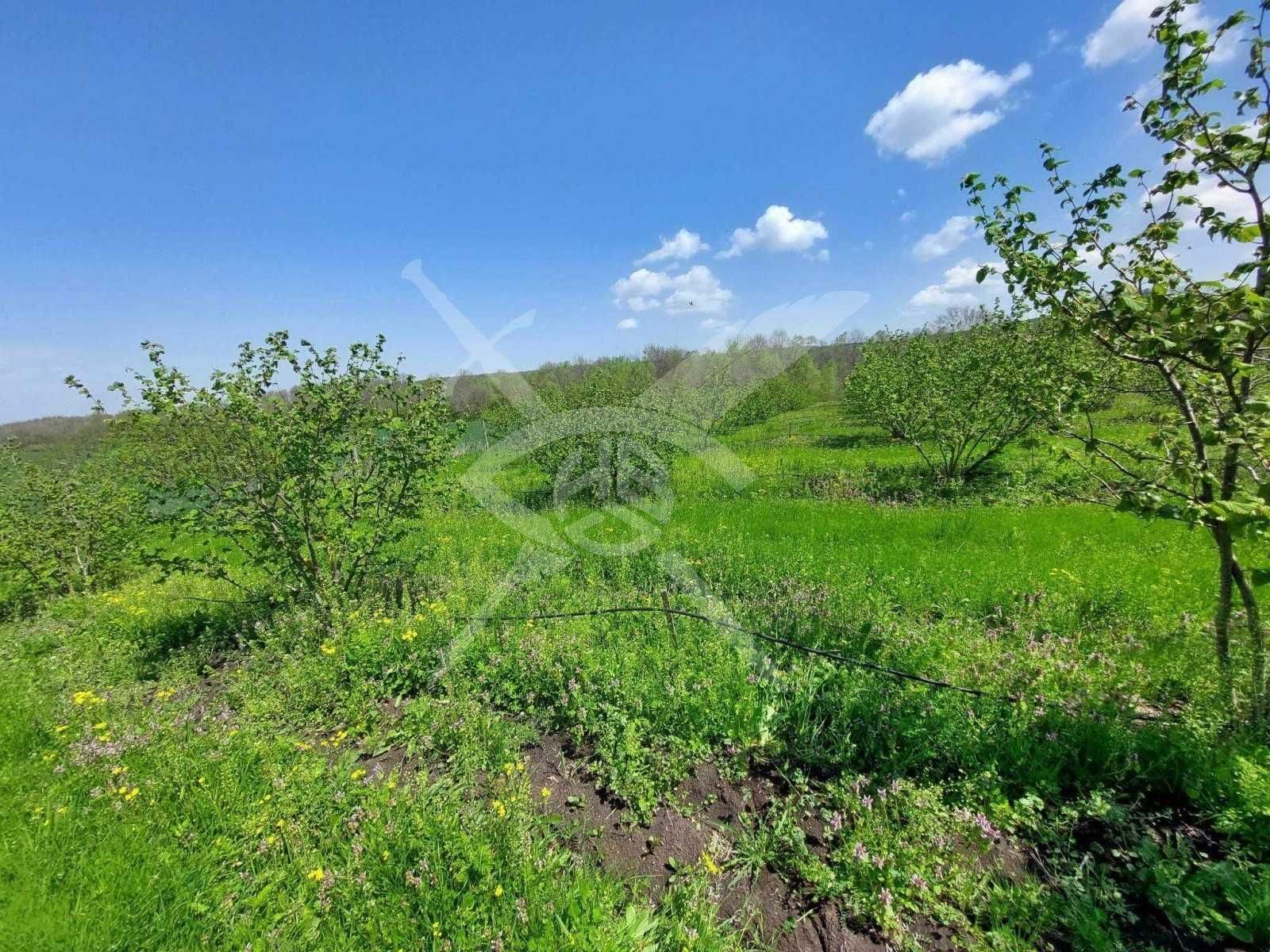 Парцел в с. Драчево, Област Бургас - 27000 кв.м за 3 €/кв.м - Снимка #1