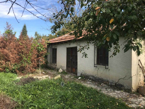 Къща в с. Хаджи Димитър, Област Добрич - 70 кв.м за 306 €/кв.м - Снимка #1