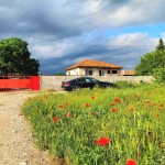 Парцел в с. Цалапица, Област Пловдив - 2124 кв.м за 31 €/кв.м - Снимка #1