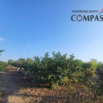 Парцел в с. Методиево, Област Добрич - 1250 кв.м за 7 €/кв.м - Снимка #1