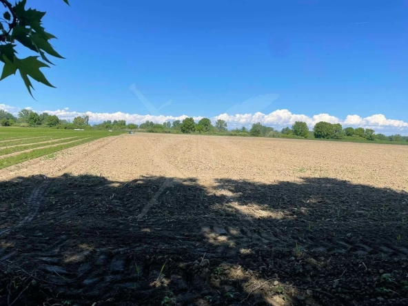 Парцел в с. Ягодово, Област Пловдив - 7995 кв.м за 12 €/кв.м - Снимка #1