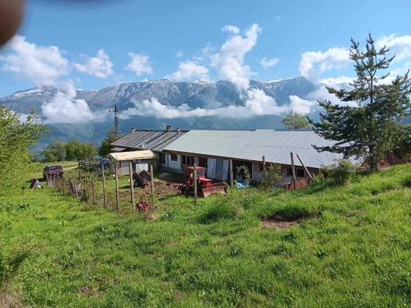 Къща в Рила - 400 кв.м за 1000 €/кв.м - Снимка #1