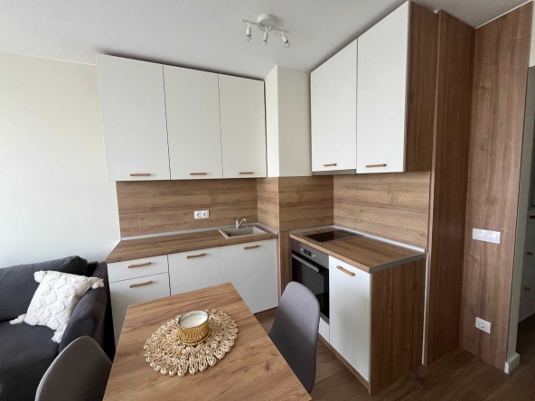 Дава се под наем Двустаен апартамент в София, Банишора - 50 кв.м за 469.2 € - Снимка #1