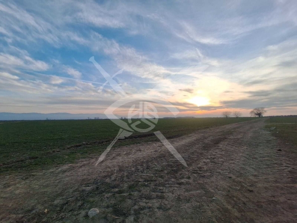 Парцел в с. Строево, Област Пловдив - 3800 кв.м за 9 €/кв.м - Снимка #1