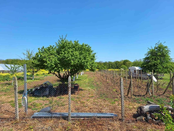 Парцел в с. Китка, Област Варна - 2000 кв.м за 13 €/кв.м - Снимка #1