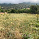 Парцел в Карлово - 1900 кв.м за 11 €/кв.м - Снимка #1