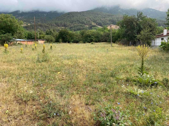 Парцел в Карлово - 1900 кв.м за 11 €/кв.м - Снимка #1