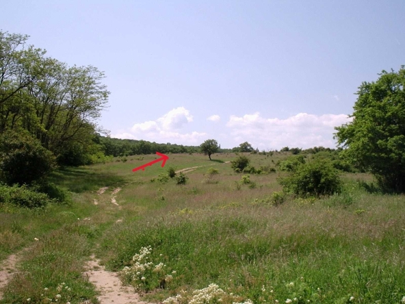 Парцел в София, Гео Милев - 9842 кв.м за 28 €/кв.м - Снимка #1