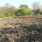 Къща в с. Овчага, Област Варна - 70 кв.м за 190 €/кв.м - Снимка #1