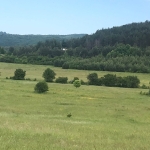 Земеделски имот в с. Боснек, Област Перник -  кв.м за 2000 €/дка - Снимка #1