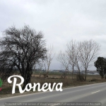 Парцел в с. Тополи, Област Варна - 2850 кв.м за 50 €/кв.м - Снимка #1