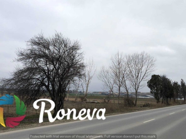 Парцел в с. Тополи, Област Варна - 2850 кв.м за 50 €/кв.м - Снимка #1