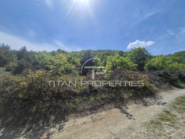 Парцел в с. Белащица, Област Пловдив - 2300 кв.м за 140 €/кв.м - Снимка #1