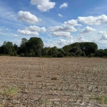 Парцел в с. Стоево, Област Пловдив - 5581 кв.м за 13 €/кв.м - Снимка #1