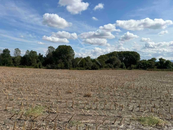 Парцел в с. Стоево, Област Пловдив - 5581 кв.м за 13 €/кв.м - Снимка #1