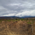 Парцел в с. Първенец, Област Пловдив - 6500 кв.м за 27 €/кв.м - Снимка #1