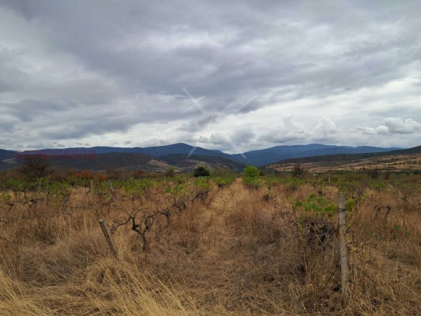 Парцел в с. Първенец, Област Пловдив - 6500 кв.м за 27 €/кв.м - Снимка #1