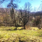 Парцел в с. Гледаци, Област Габрово - 1111 кв.м за 7 €/кв.м - Снимка #1