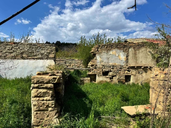 Парцел в с. Славянци, Област Бургас - 590 кв.м за 26 €/кв.м - Снимка #1